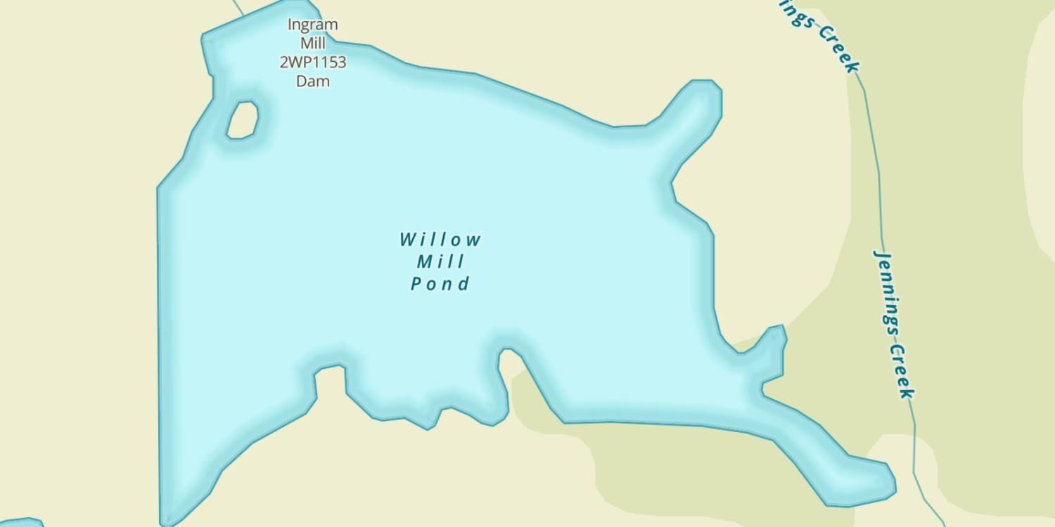 Willow Mill Pond