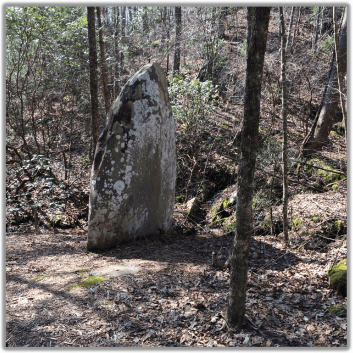 Near BMT: Segment 7a-7d (Weaver Creek Road to Bushy Head Gap)