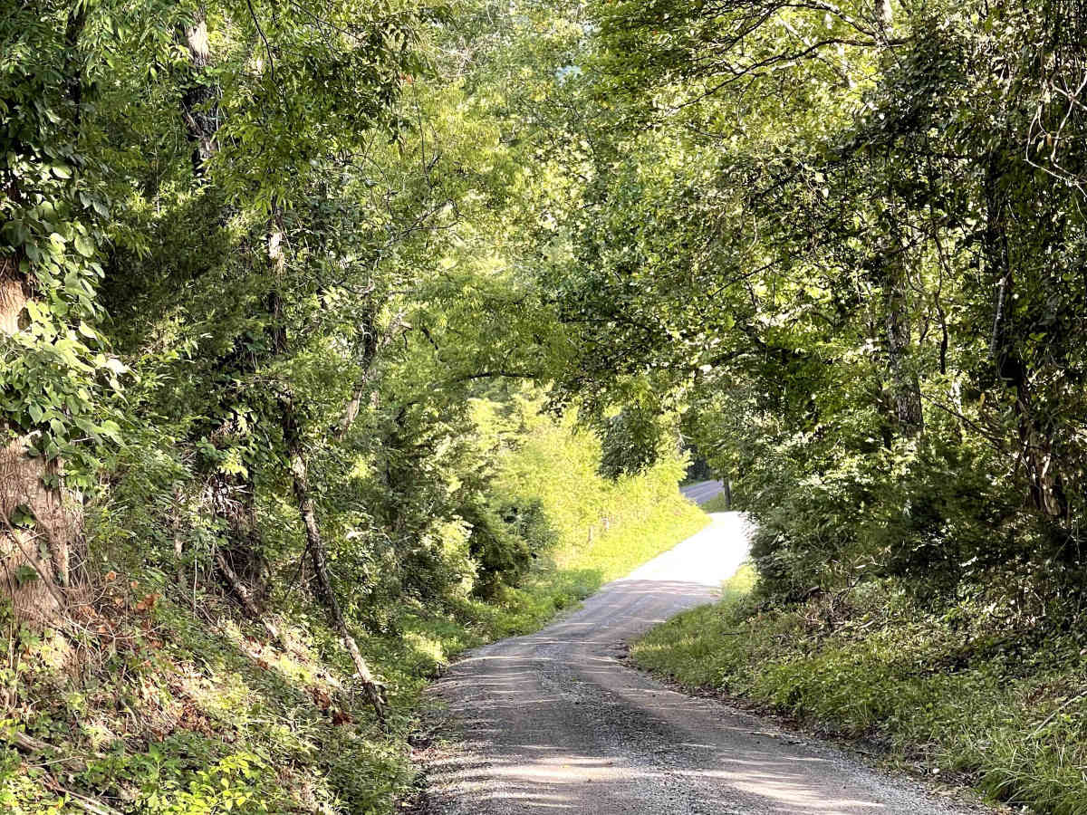 Sugar Tree Hollow photo 4