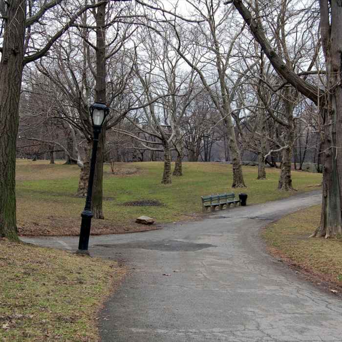 Near Stephanie and Fred Shuman Running Track