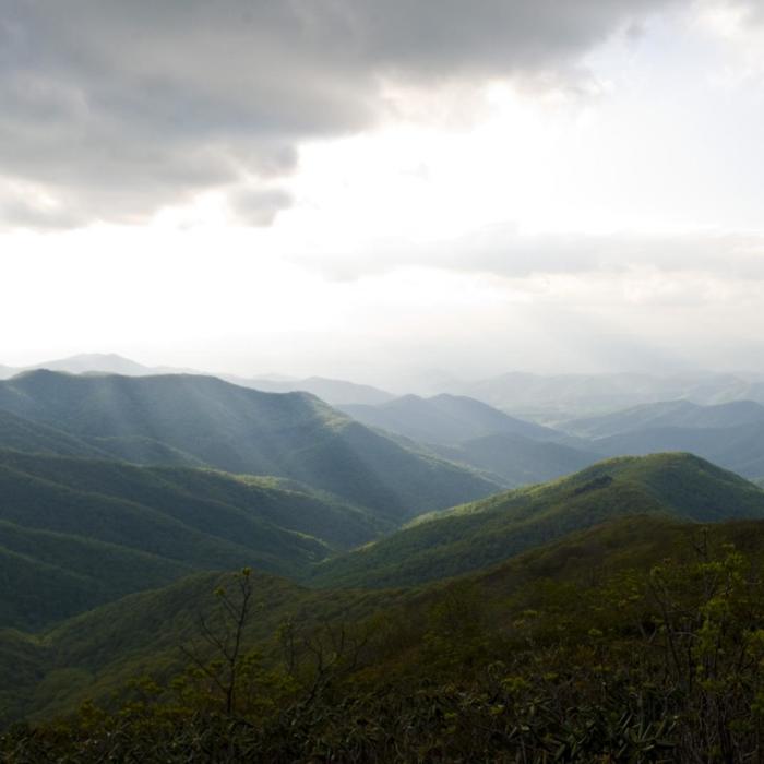 Near Craggy Pinnacle Near Craggy Pinnacle