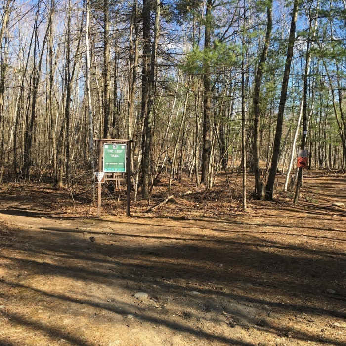Beginning of Long Loop Near Loop Trail