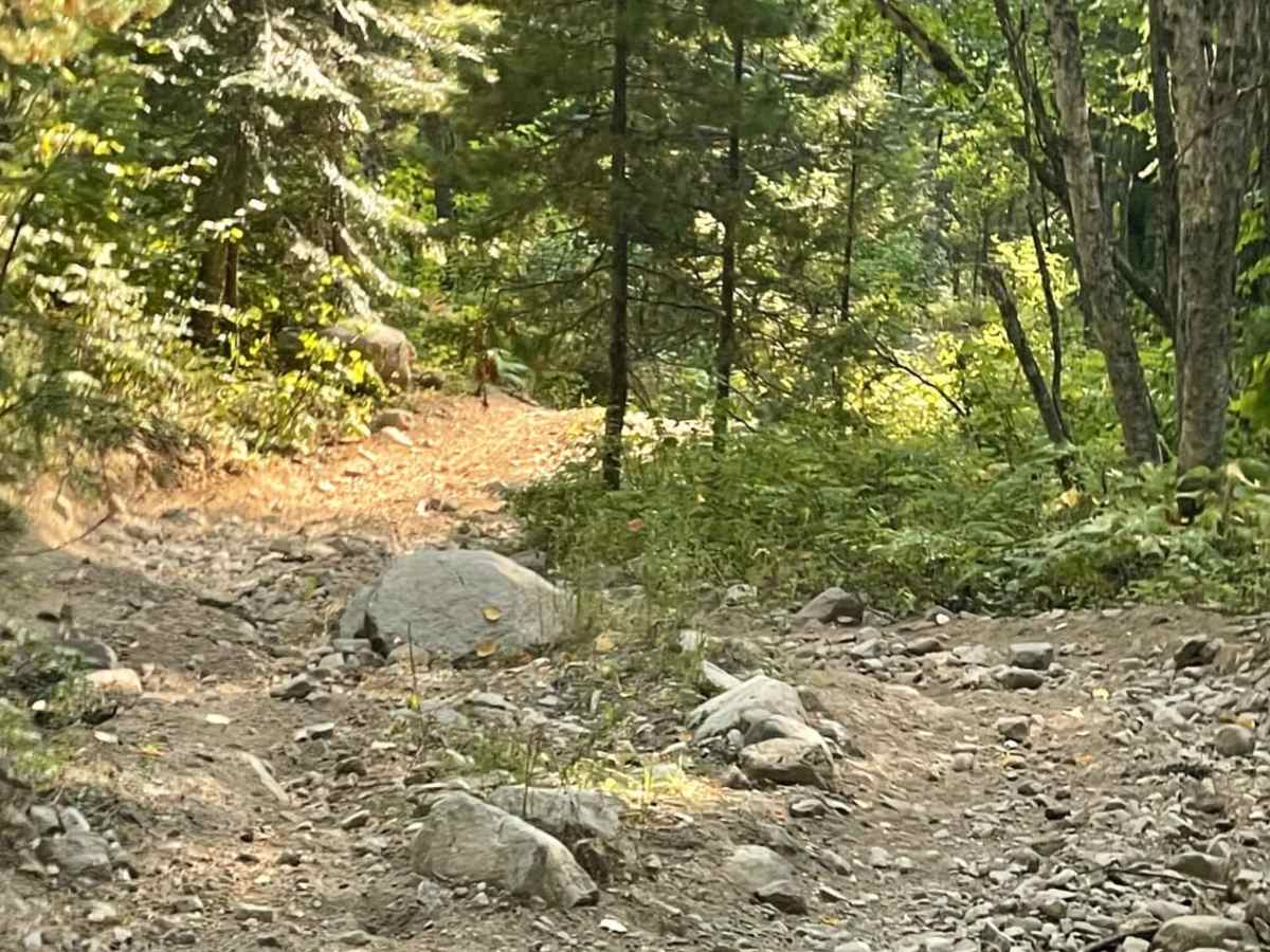 Jeru Creek Loop photo 2