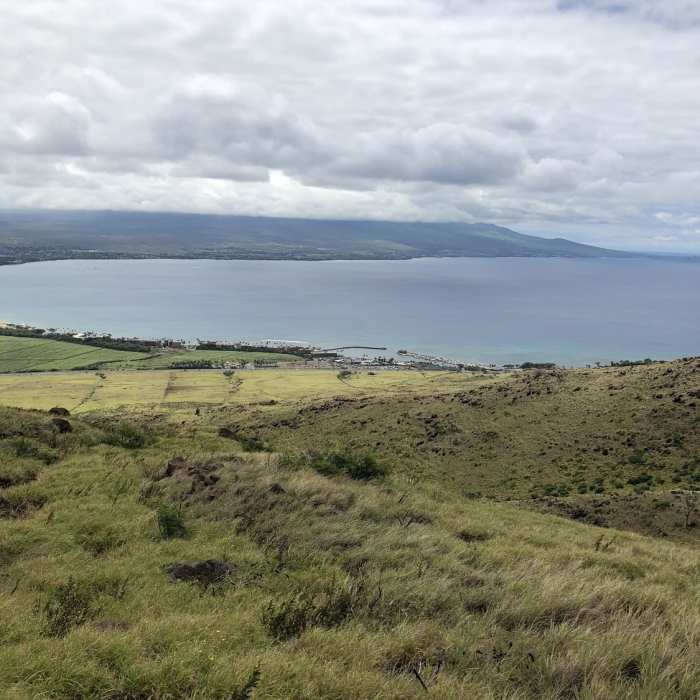 Near Lahaina Pali Trail