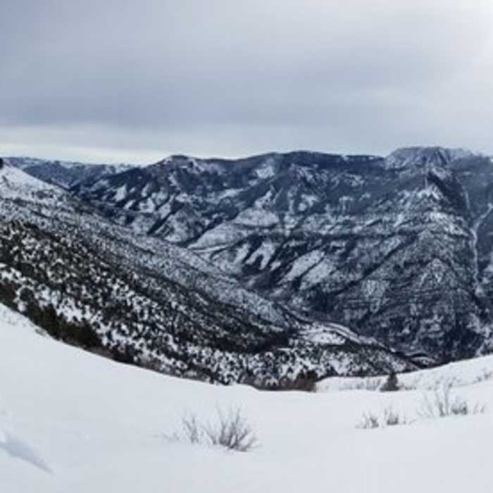 Near Saddleback Mountain Trail