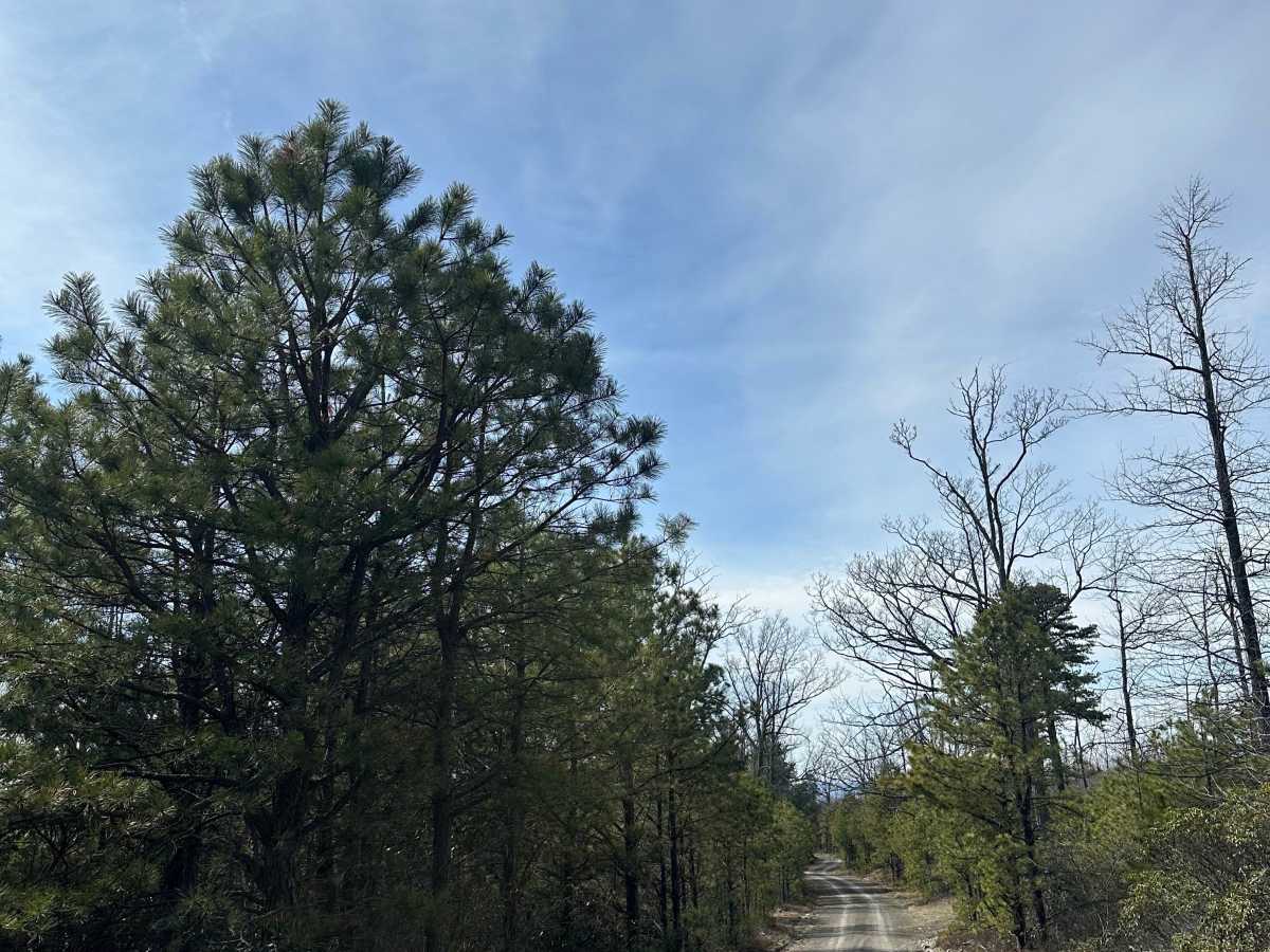 Middle Ridge Road  photo 3