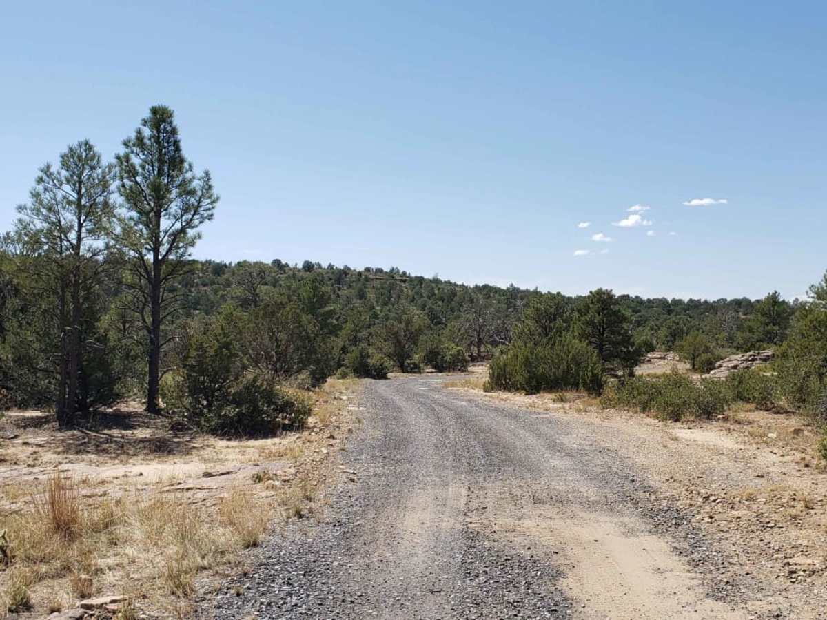 Mills Canyon Trail photo 3
