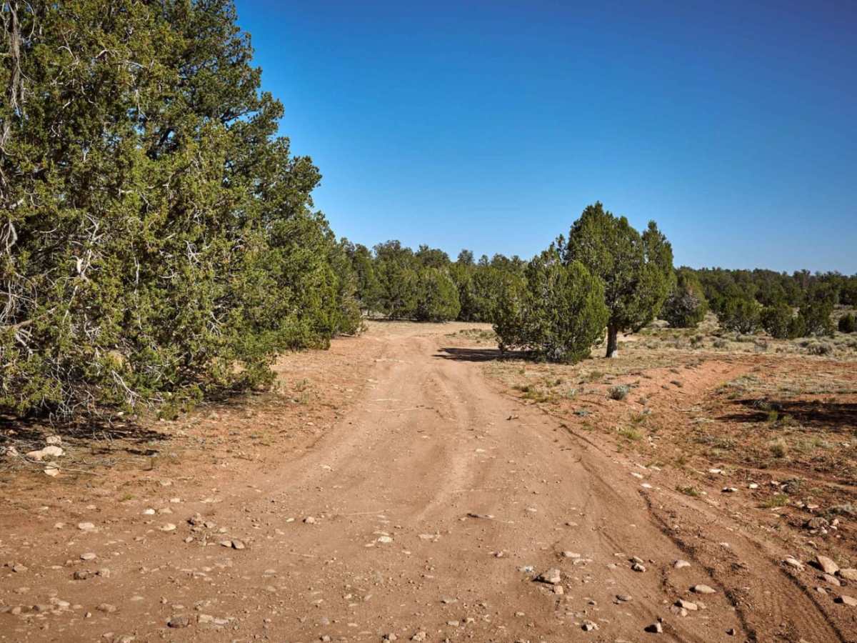 FR 347E trail photo