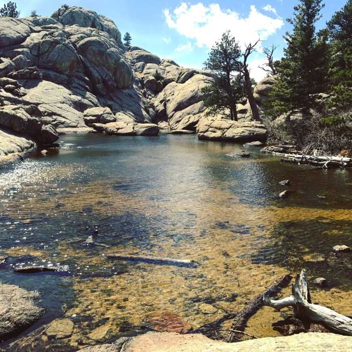 Near Greyrock Trail #946