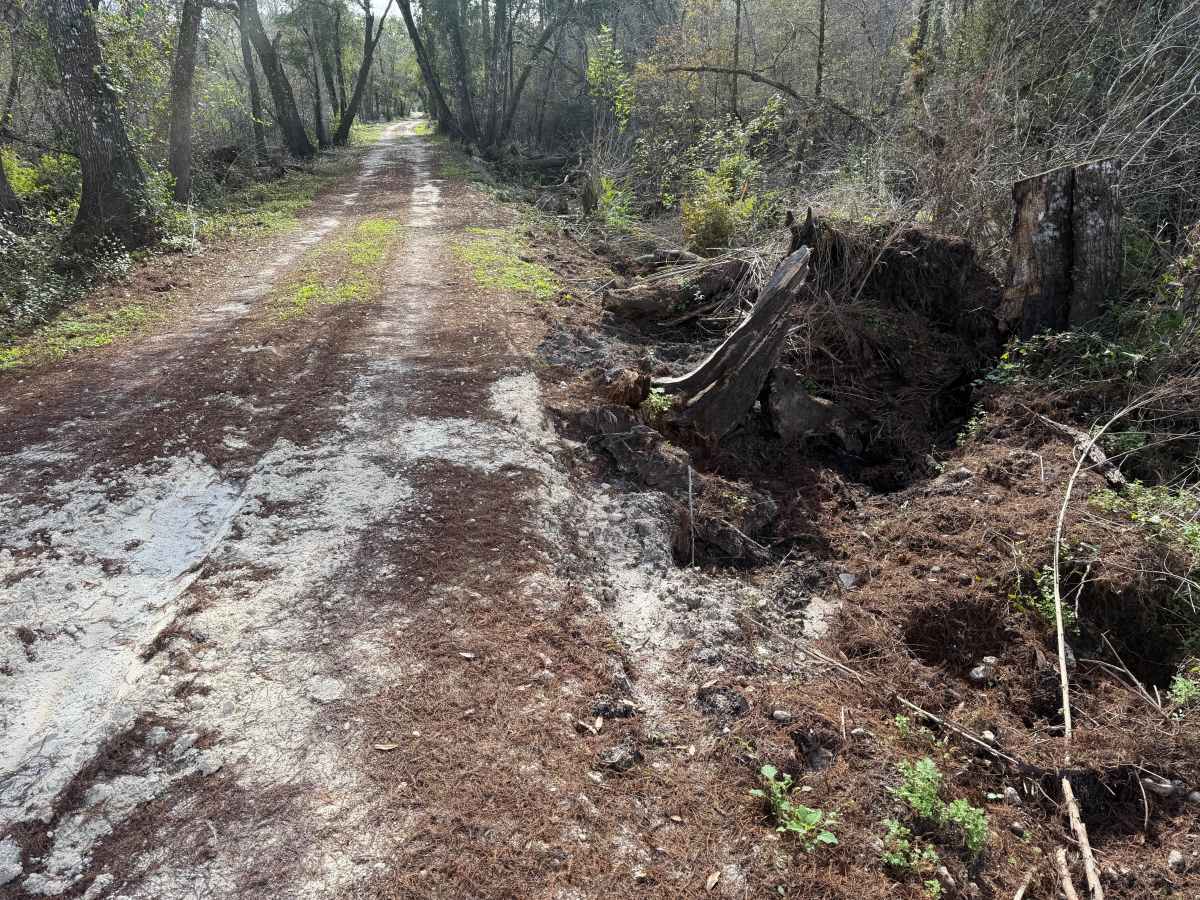 Cedar Pocket Road photo 5