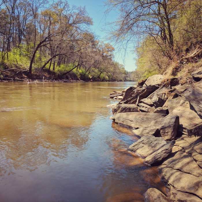 Near Boling Creek Park Trails