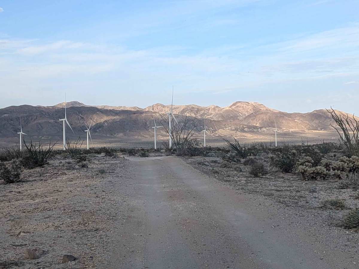 BLM 109 photo 5