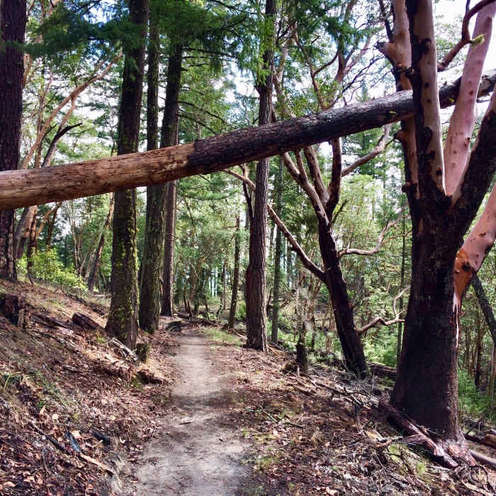 Near Upper Lithia Park: 2060 to Wonder Trail