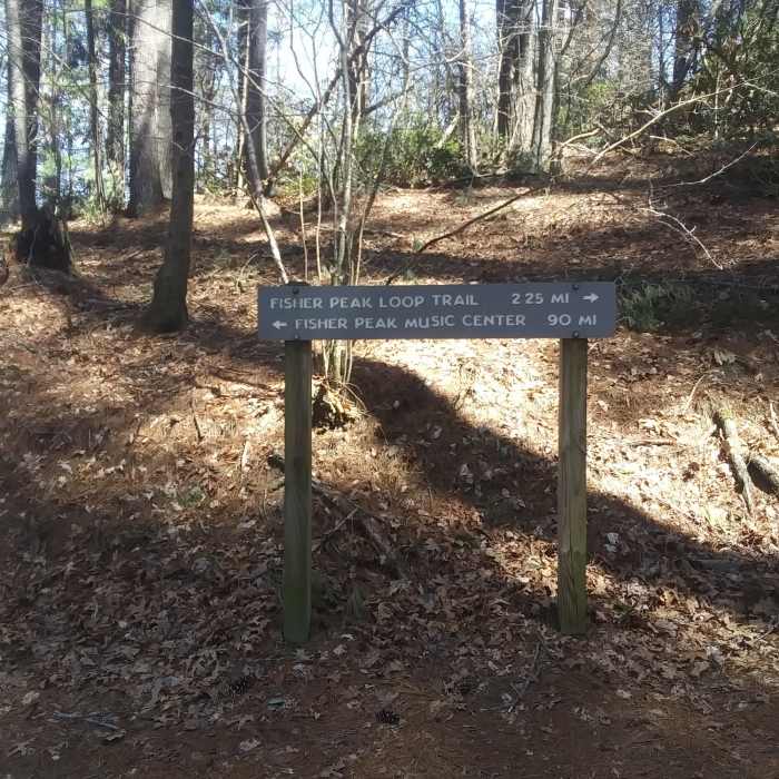 Near Blue Ridge Music Center Loop