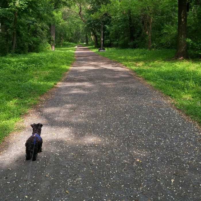 Near Exeter Scenic River Trail