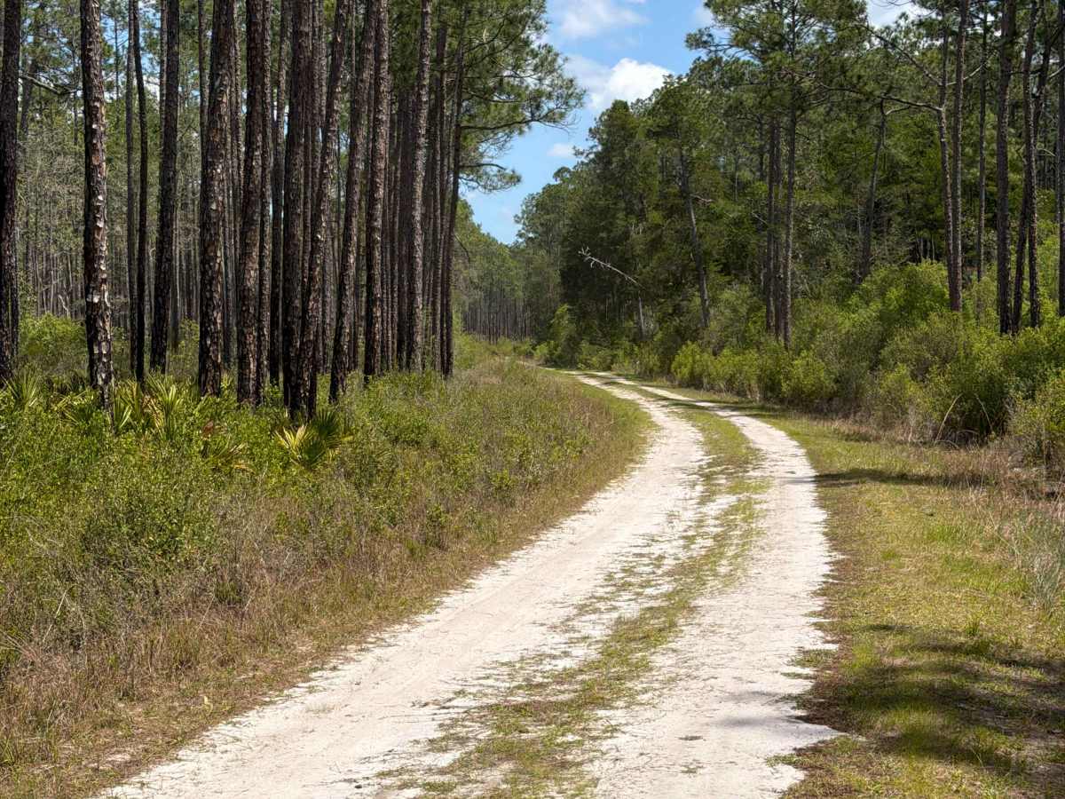 Southside West - FS 125 photo 4