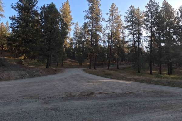 Narcisse Creek Road