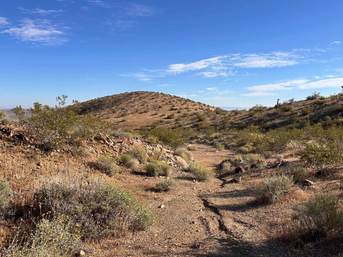Sagebrush Run photo 3
