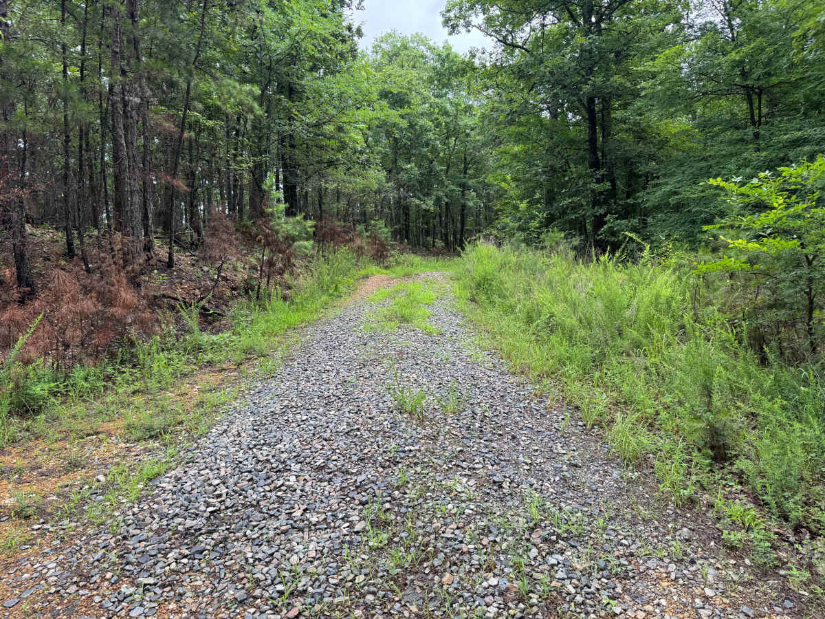 Mullins Loop trail photo