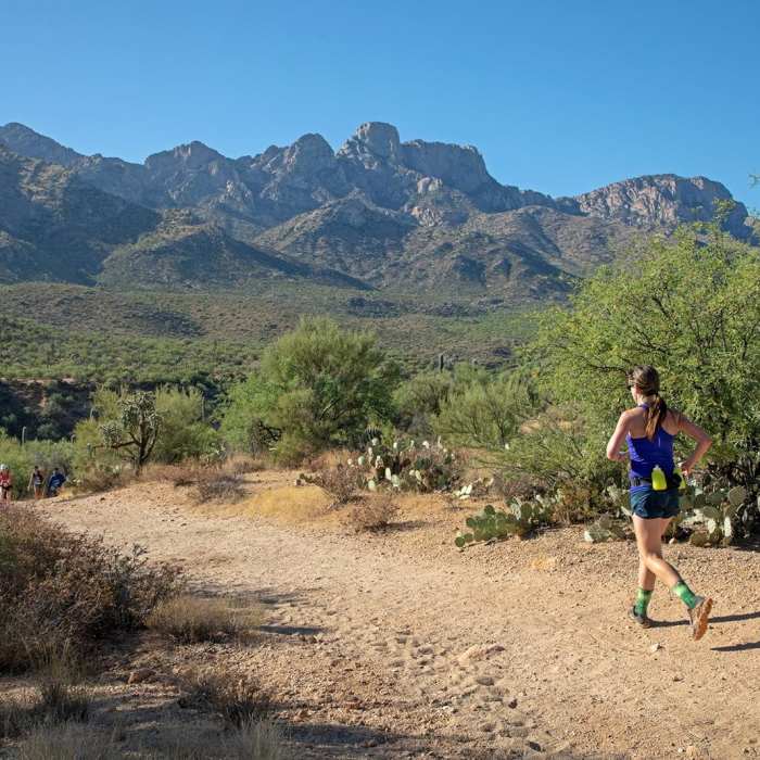 Near Catalina Nature Trail Near Catalina Nature Trail