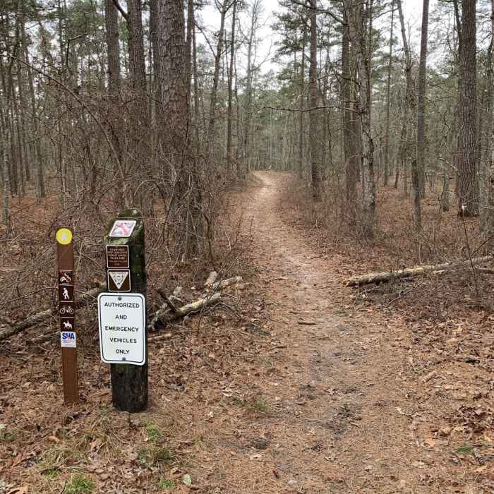 Near Yellow Furnace Loop