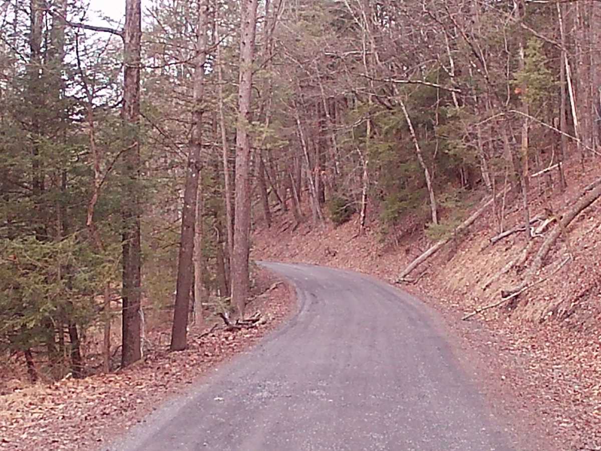 Treaster Kettle road photo 5