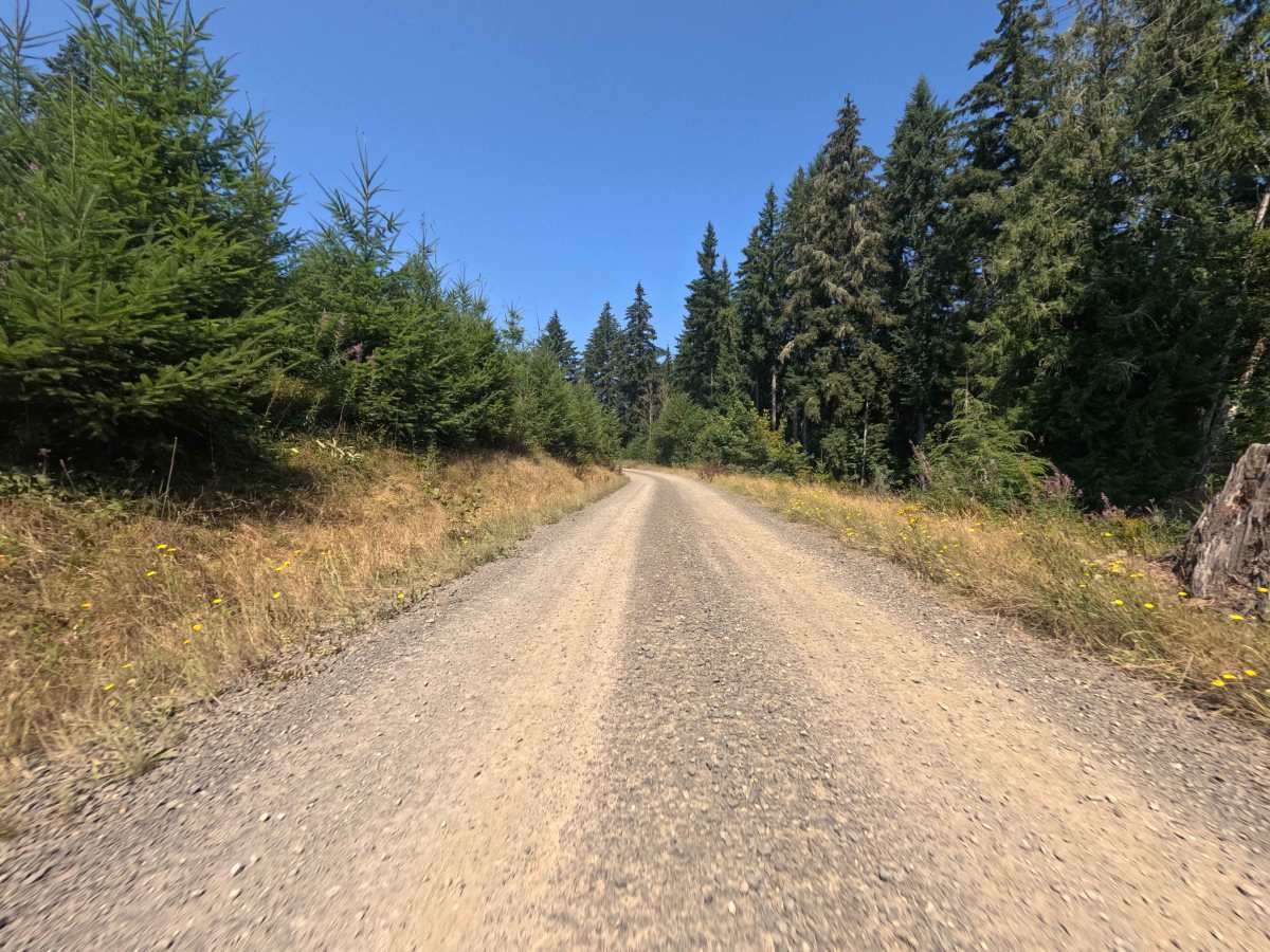 Gifford Pinchot - W1000 photo 6