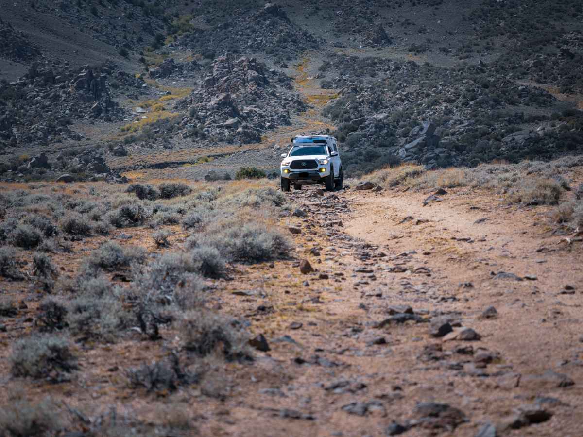 Crooked Creek Loop trail photo