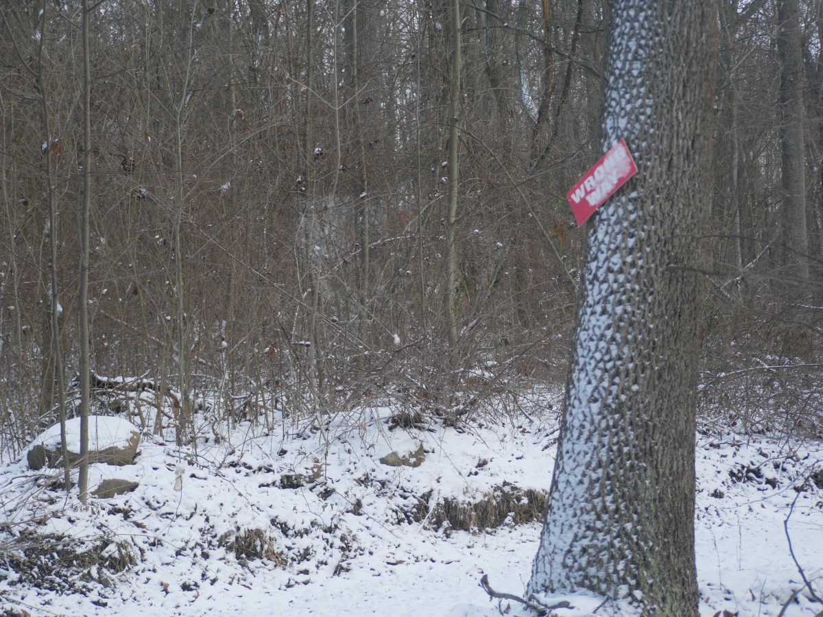 Trail 3 photo 3