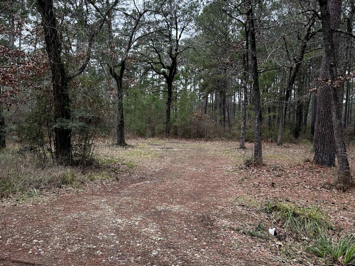 Kelly's Pond Road - FS 271 photo 4