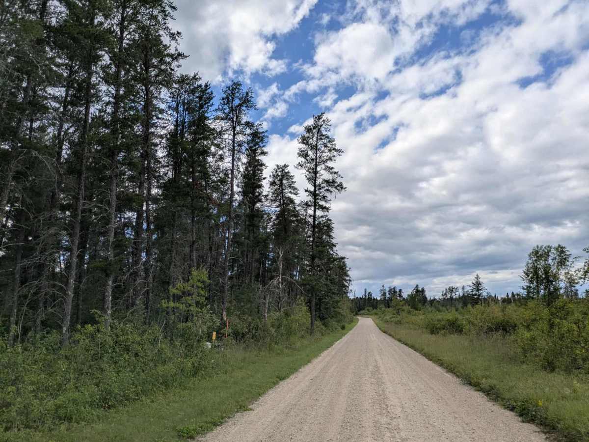 Nyhiem Forest Road photo 2