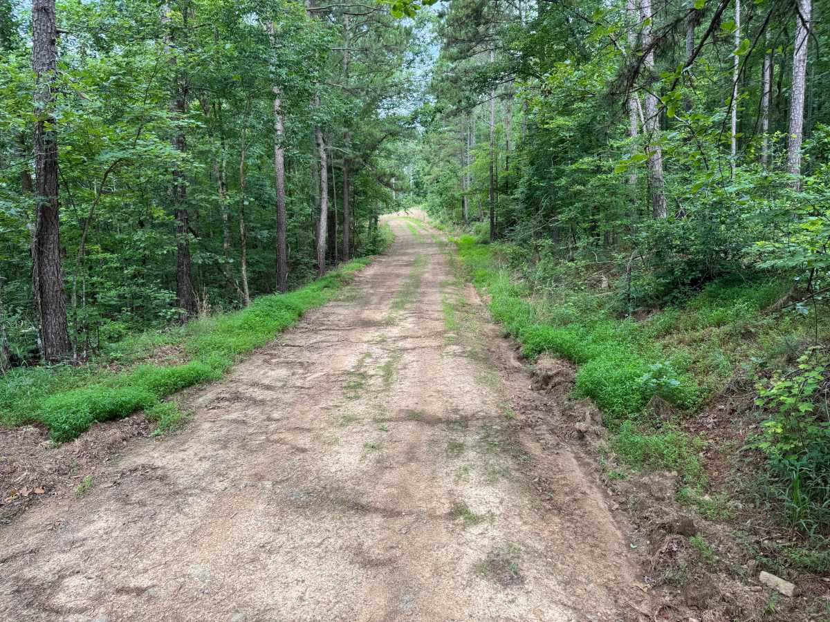 Bull Mountain photo 5