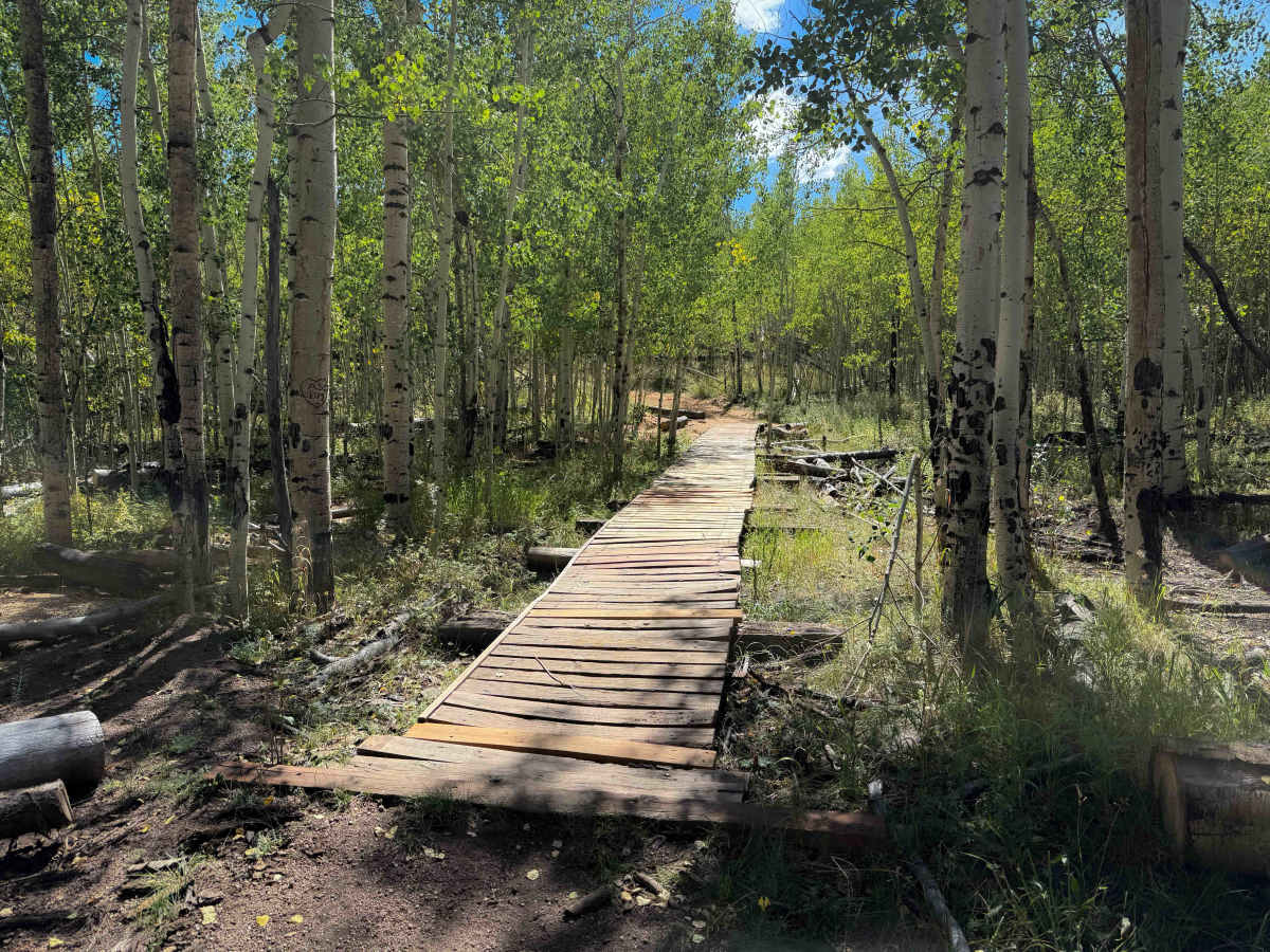 Turkey Creek 731 trail photo