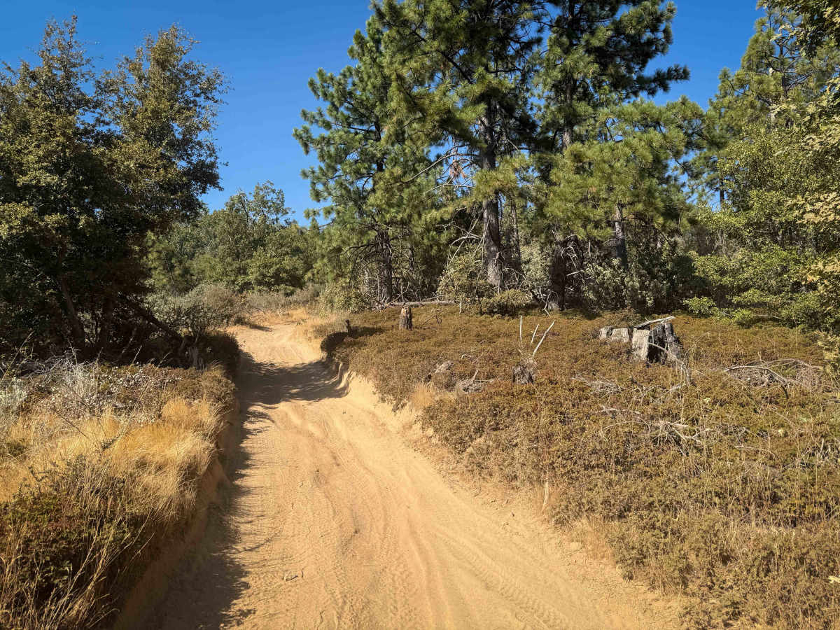 21E227 trail photo