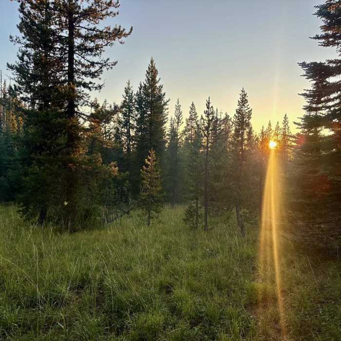 Near Pacific Coast Trail: Mount Washington Wilderness Near Pacific Coast Trail: Mount Washington Wilderness