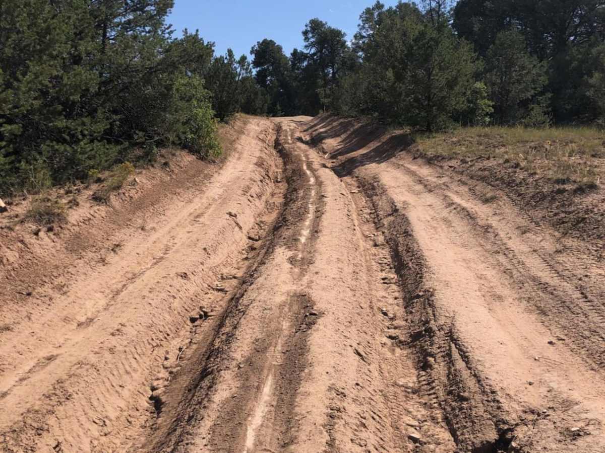 Goose Lake Trail photo 5