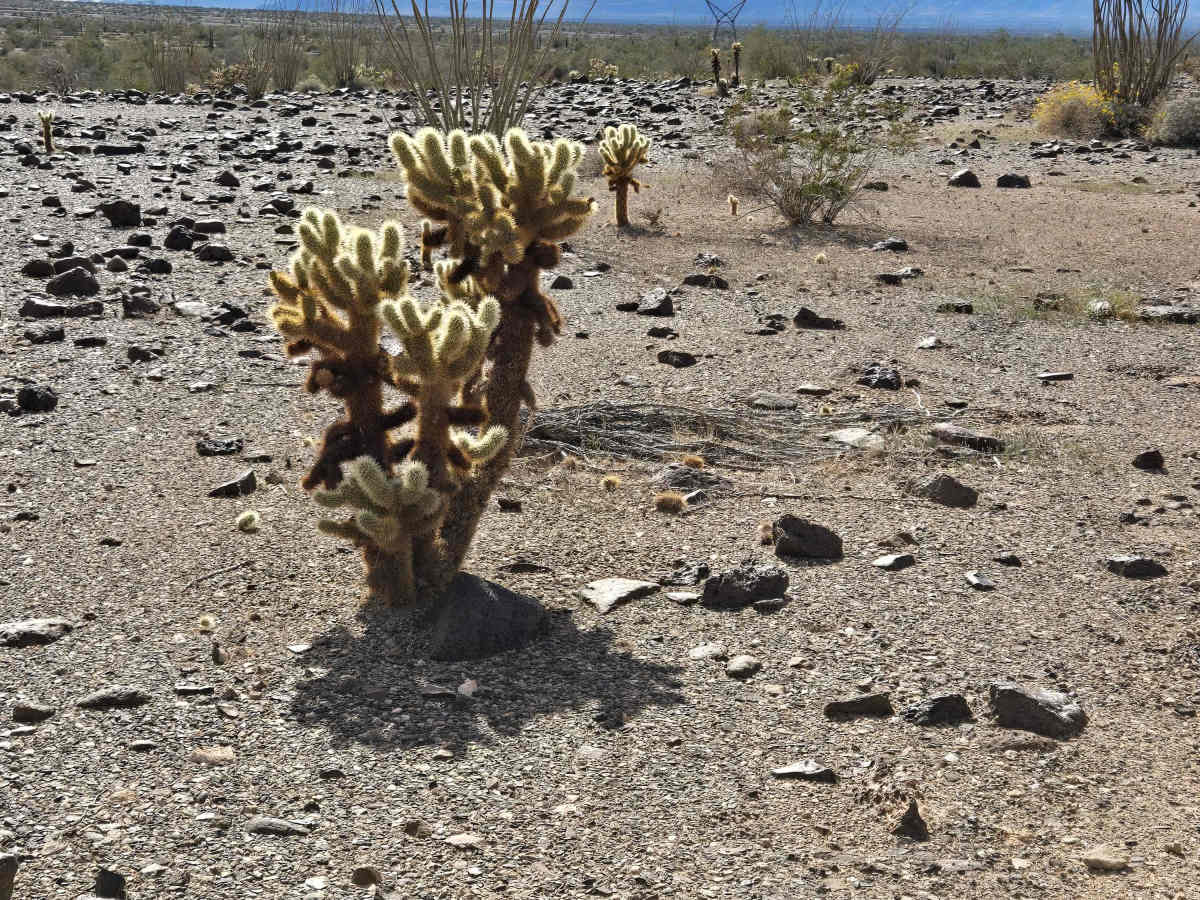 I-10 Frontage Road (LP781) photo 4