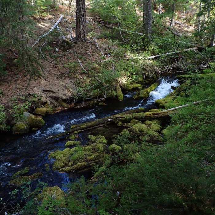 Near Tenas Peak Loop
