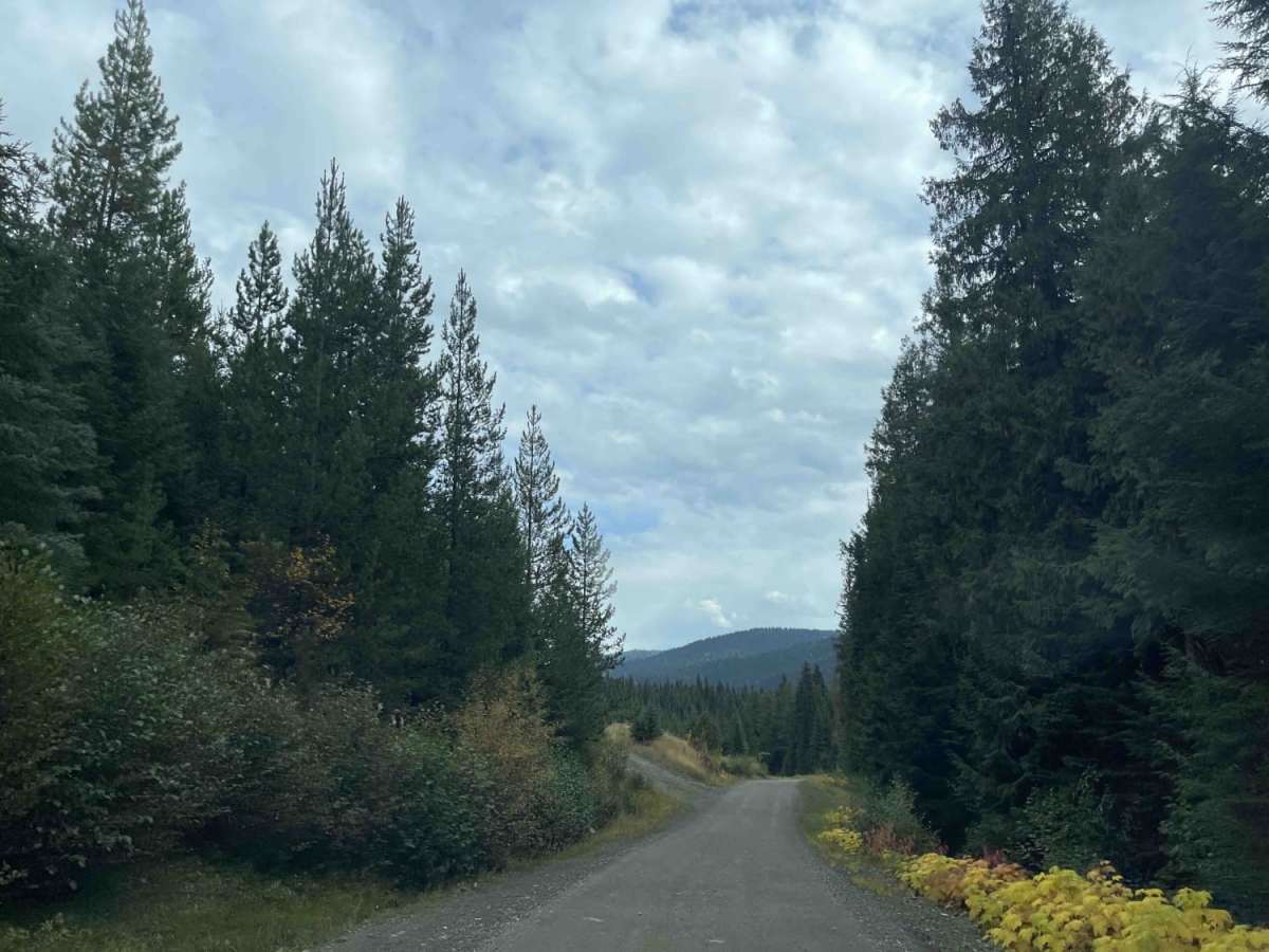 Keefer Lake Lodge photo 5
