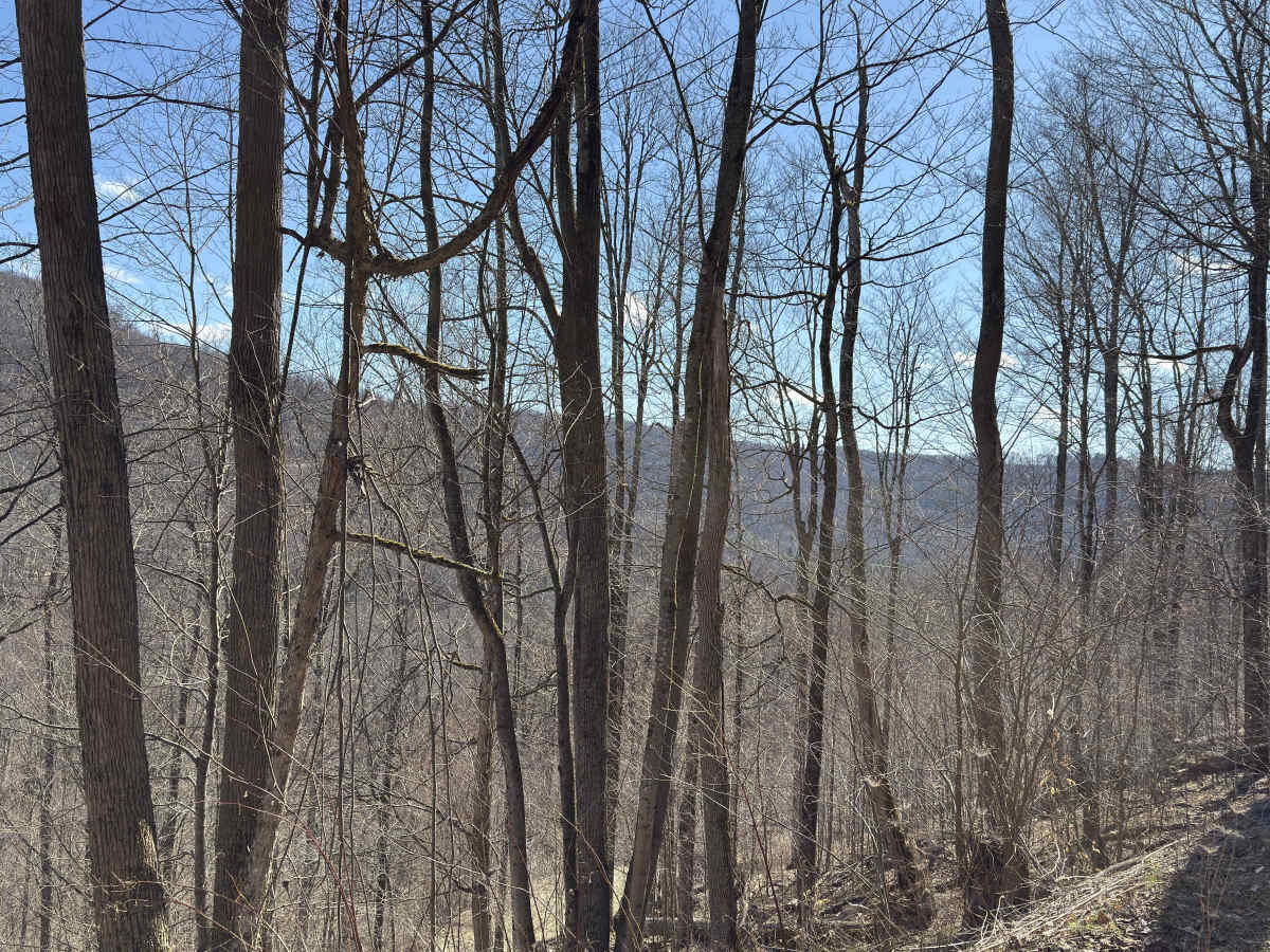 Wintergreen Run - FS 508 photo 5