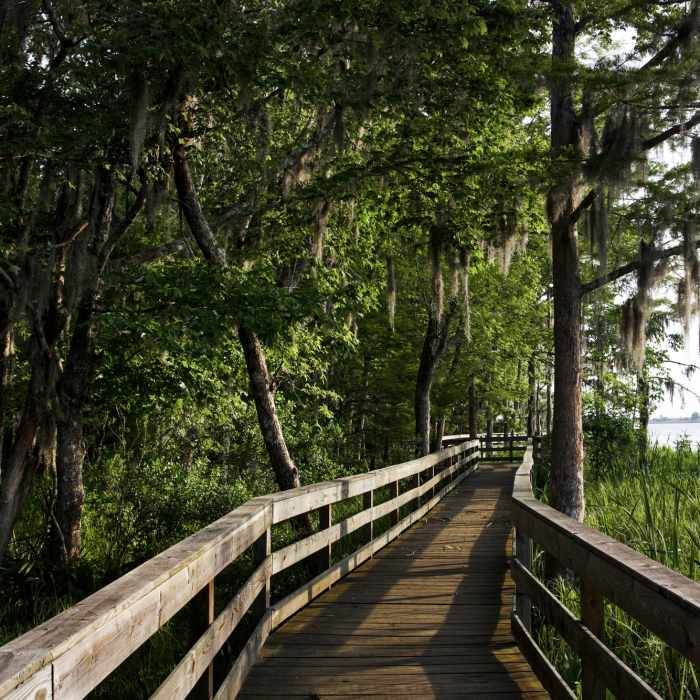 Near Breastworks Trail