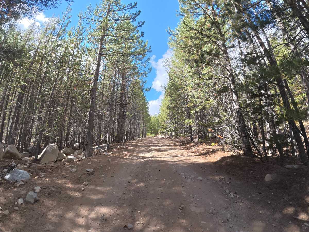 Wolf Creek Spur Road photo 5