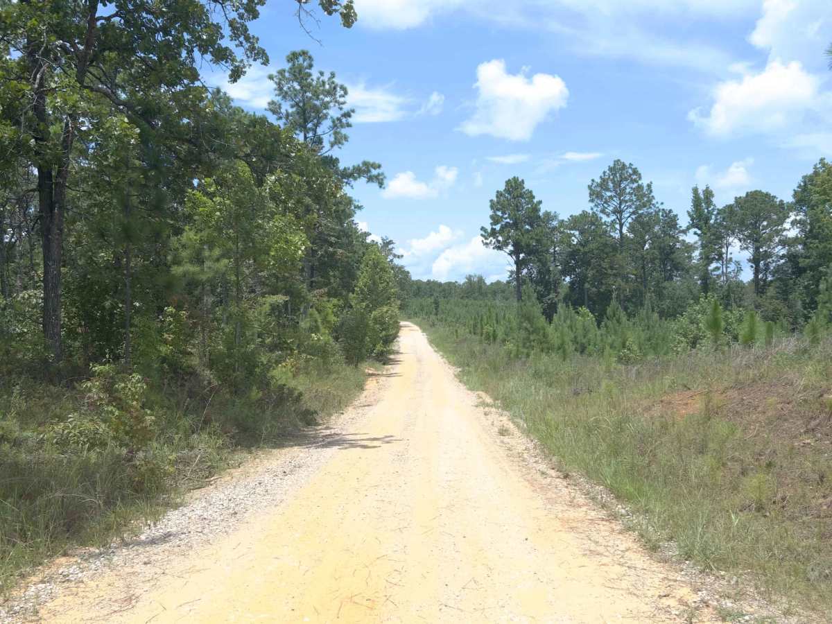 Perry Mountain Road FS426 Part 1 photo 3