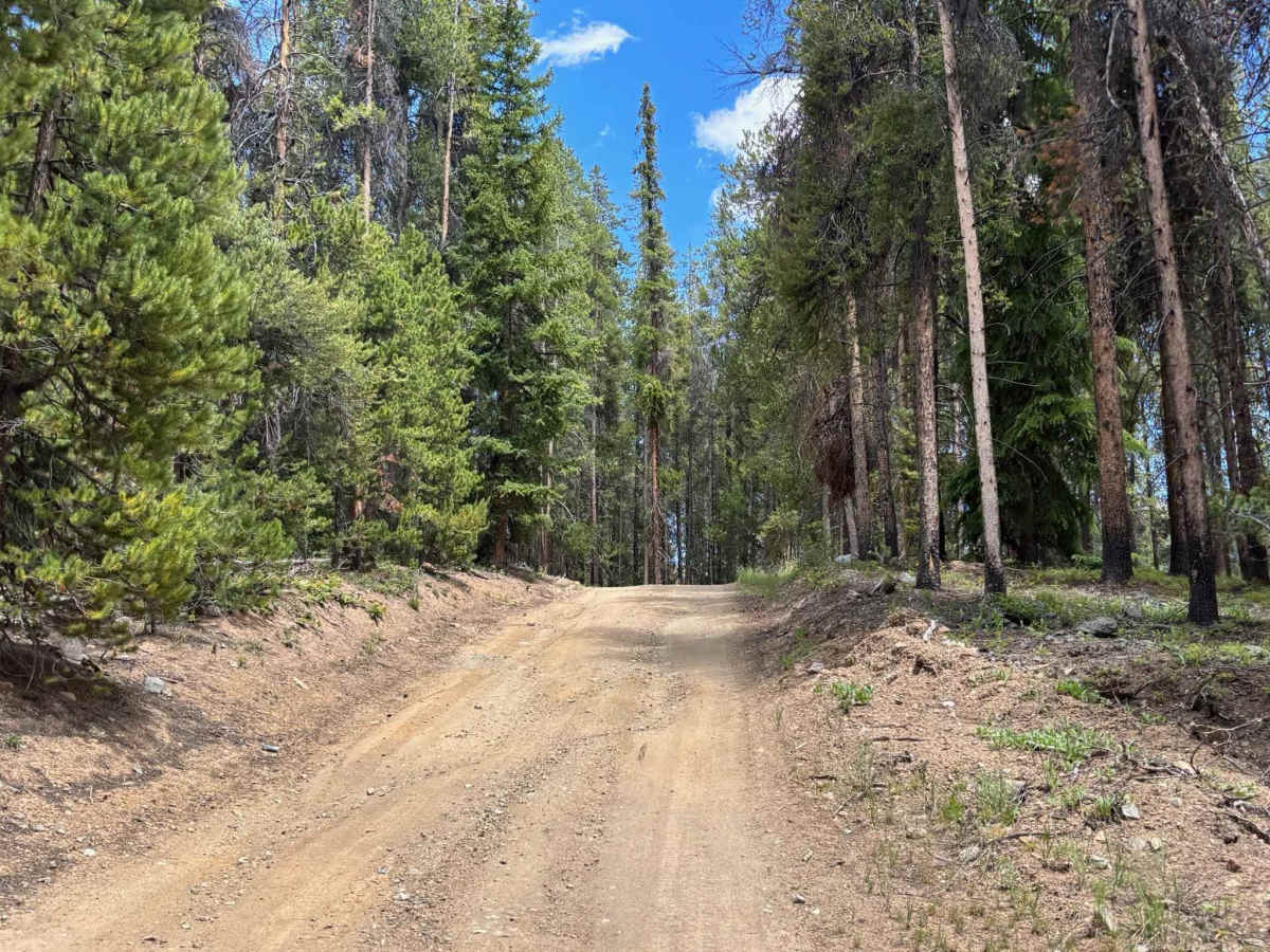 Diemer Lake Loop photo 2
