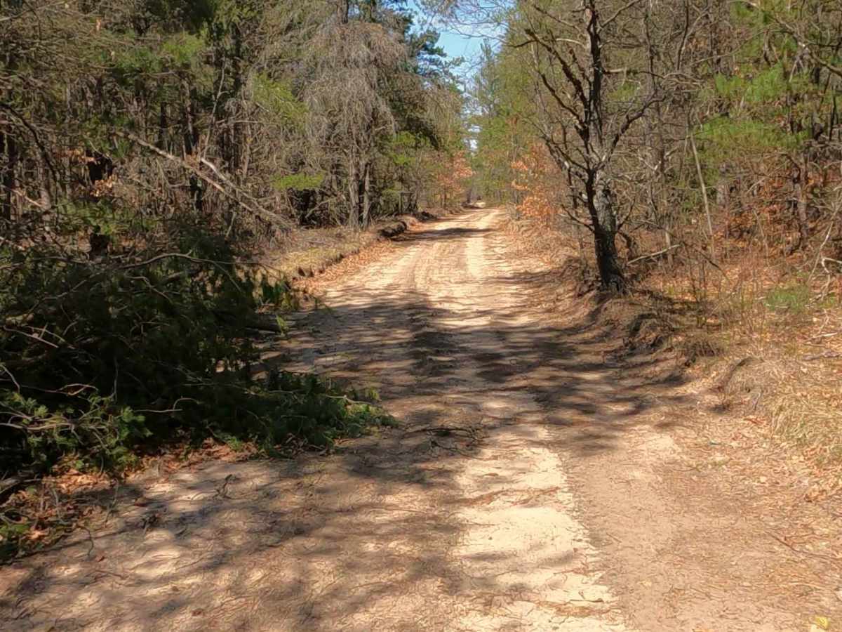 Smith Creek - FS 4779 photo 5