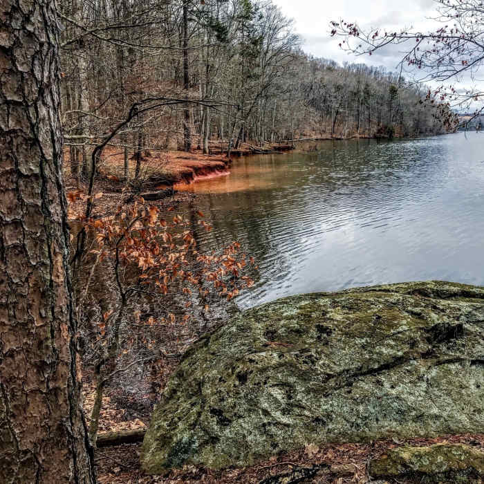 Near Badin Lake Trail #94