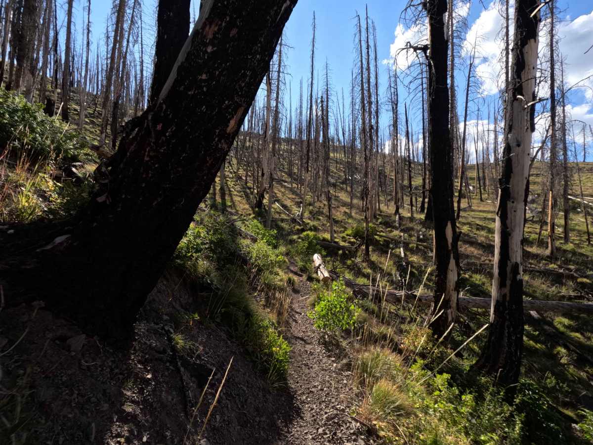 Middle Fork Warm Springs - FS 7150 photo 3