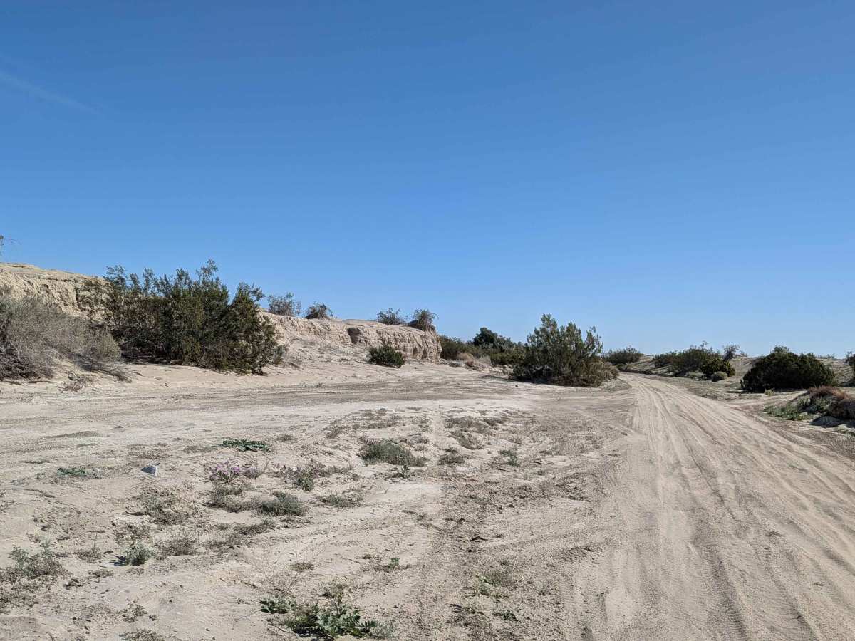 BLM 083 photo 5