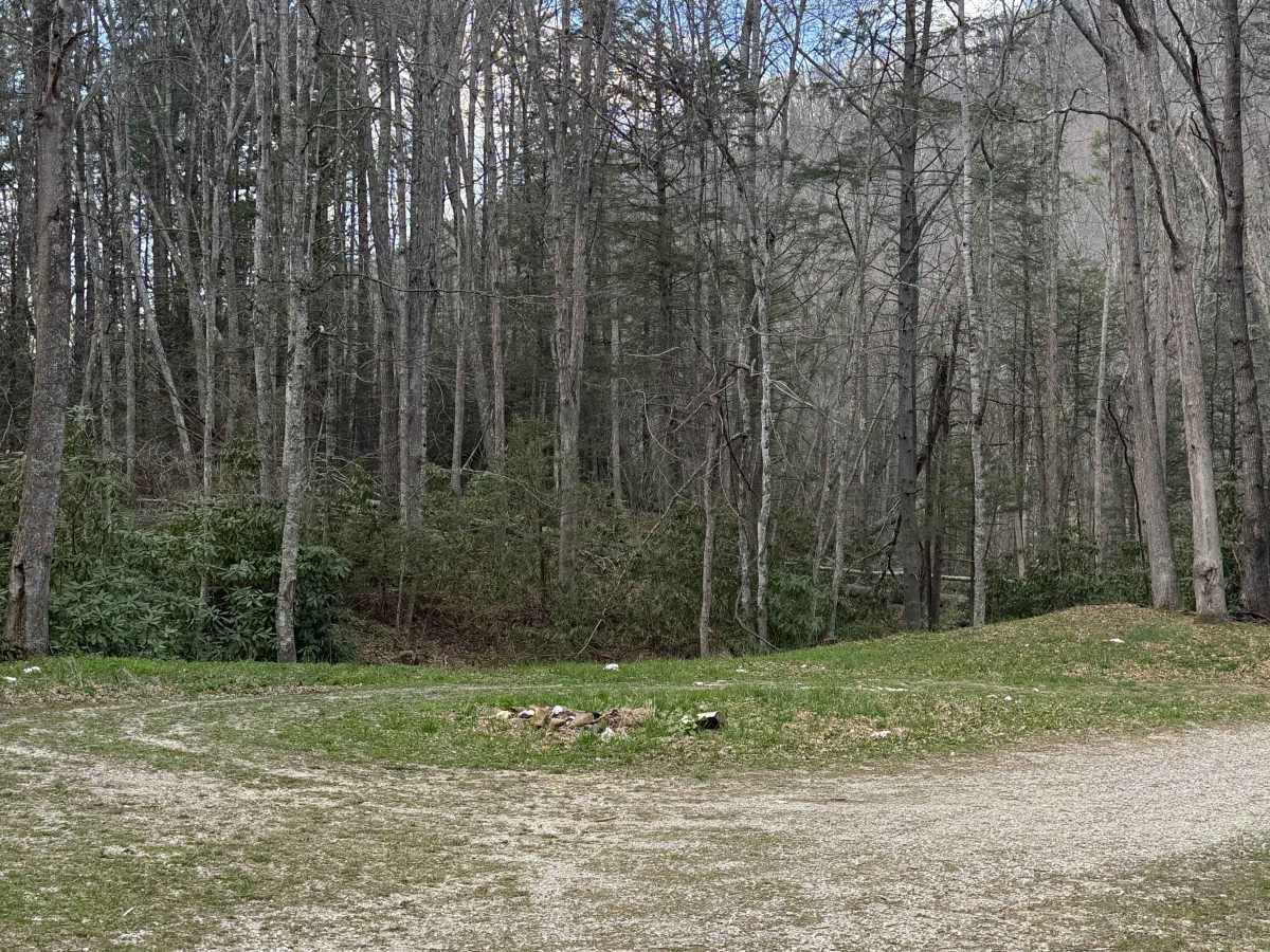 Quarter Branch Road photo 6