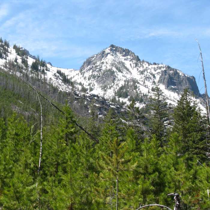 Near Mill Creek Falls via Mill Creek Trail